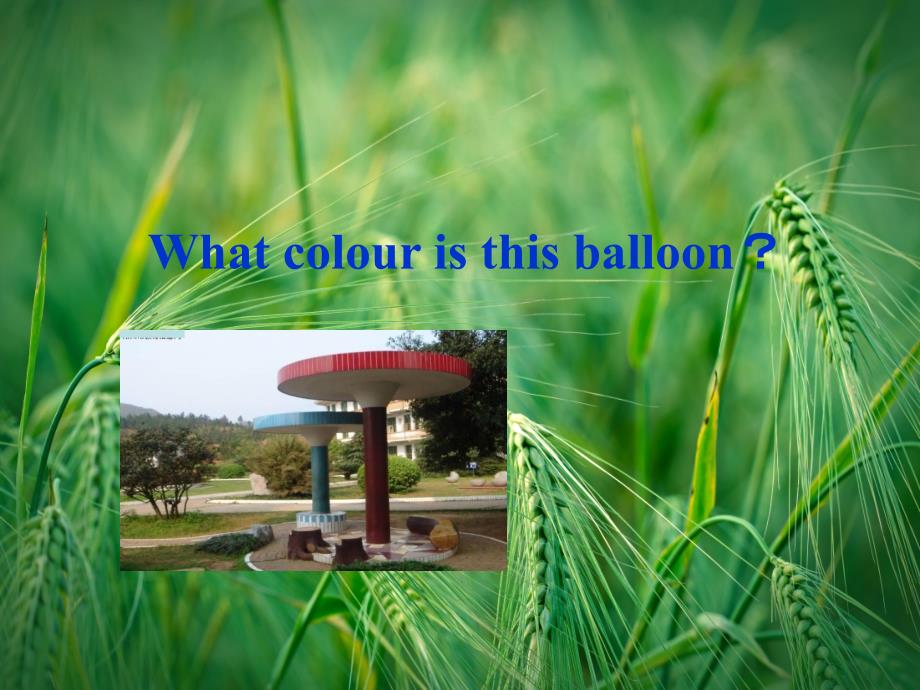 Unit-3-What-colour-is-this-balloon？ppt -新版(湘少版)课件_第1页