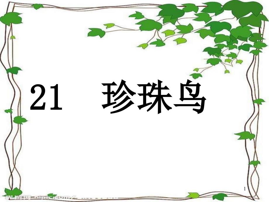 小学语文五年级上册《珍珠鸟》ppt课件_第1页