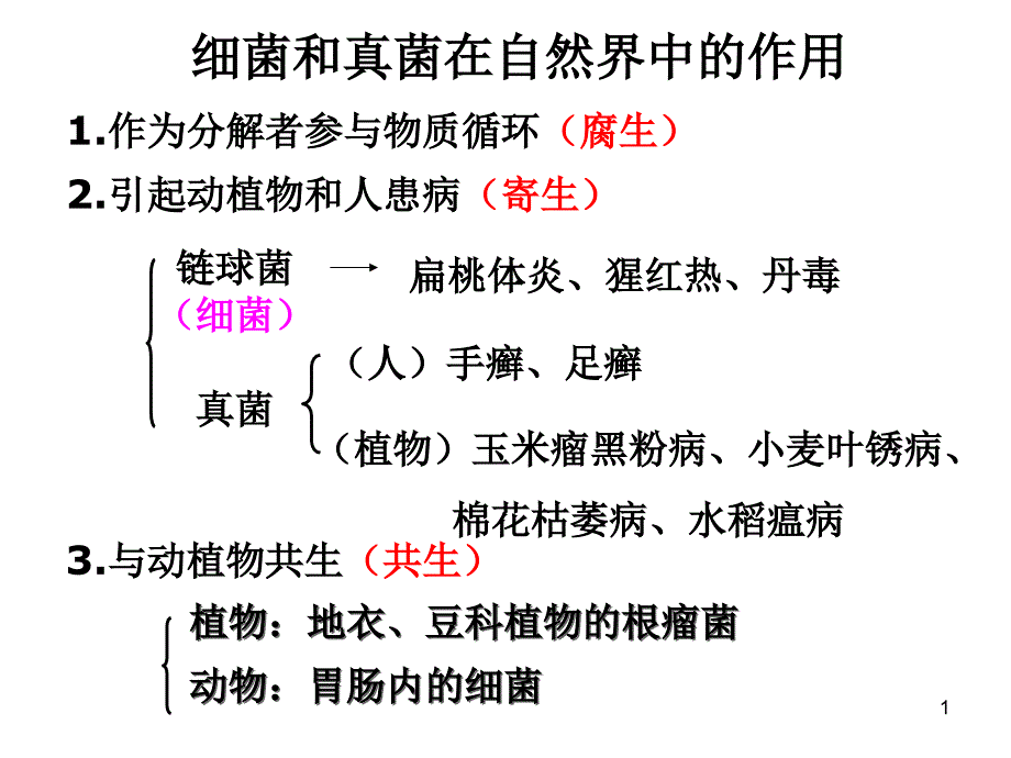 人类对细菌和真菌的利用ppt课件_第1页