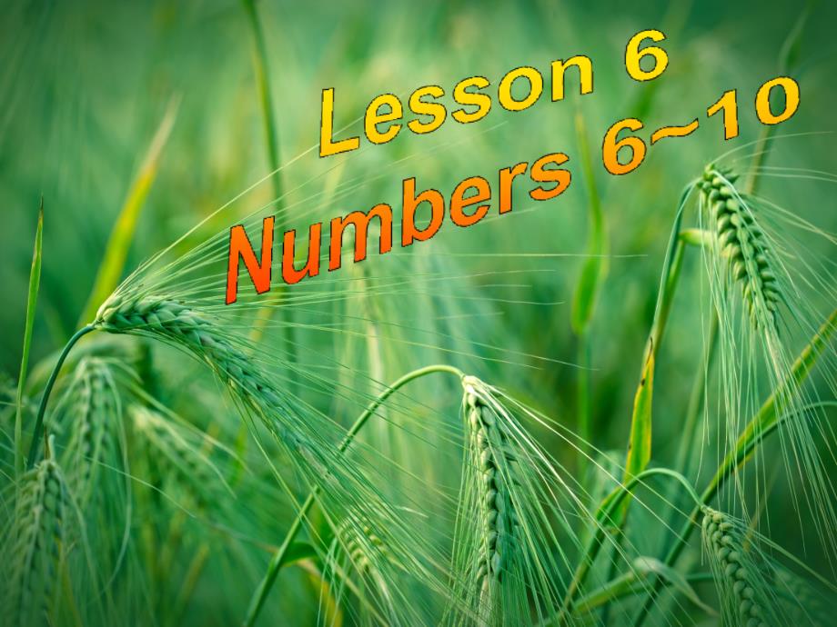 Numbers6-》ppt -(新版)冀教版课件_第1页