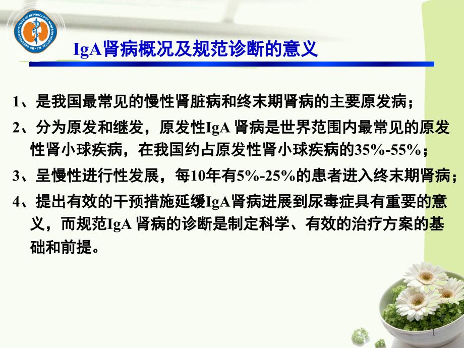 IgA肾病西医诊断和中医辨证分型的实践指南课件_第1页