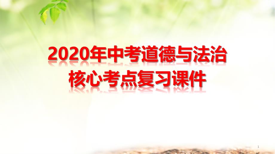 2020年中考道德与法治核心考点复习ppt课件_第1页