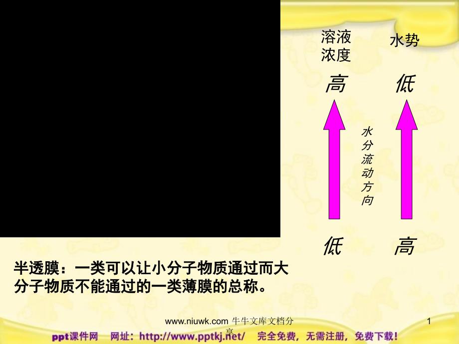 物质跨膜运输课件_第1页