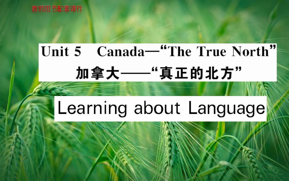 Unit-5-Canada“The-True-North”Learning-about-Languageppt -新人教版必修3课件_第1页