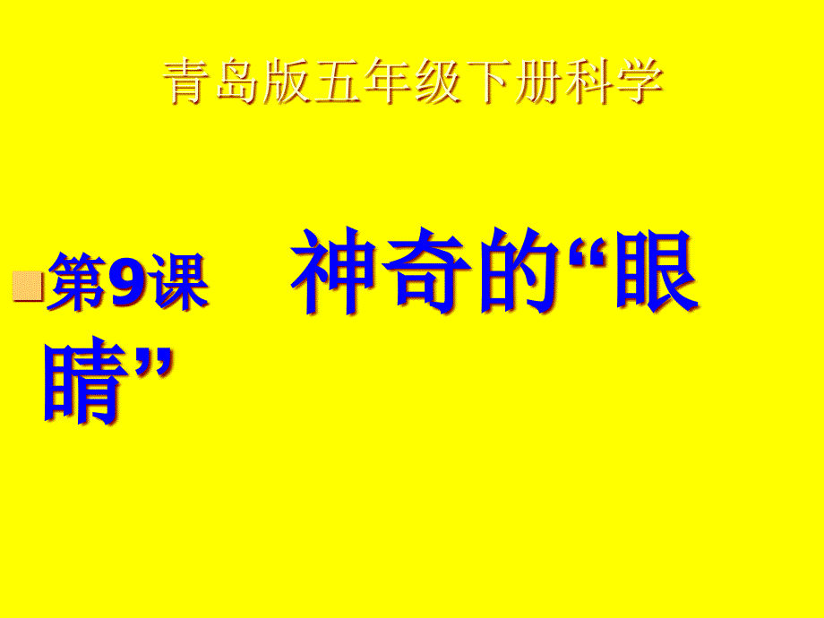 五年级科学下册(青岛版)9.神奇的眼睛课件_第1页