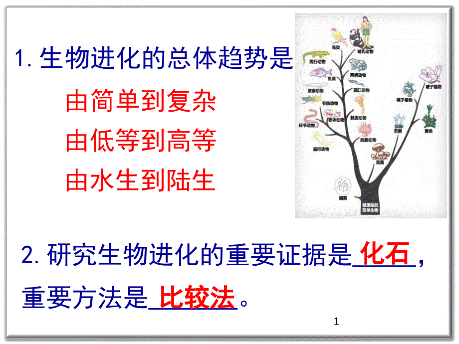 人教版生物八年下-7.3.3生物进化的原因-ppt课件_第1页