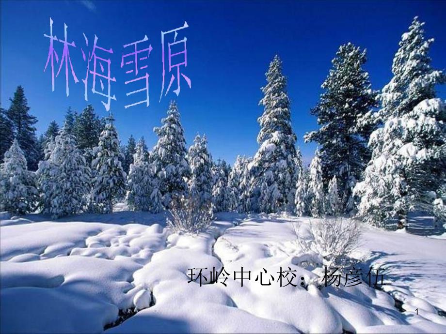 《林海雪原》课件_第1页