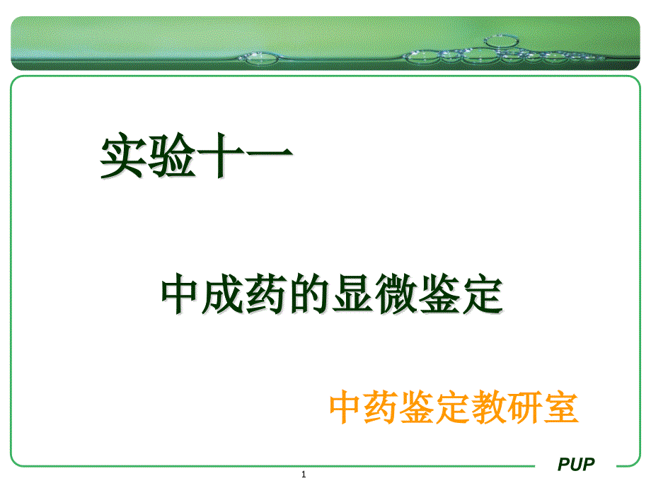 《中药鉴定学期末复习》实验十一-中成药的显微鉴定课件_第1页