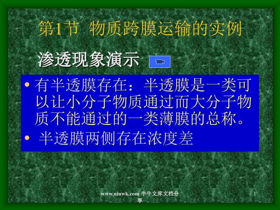 细胞物质的输入和输出课件_第1页