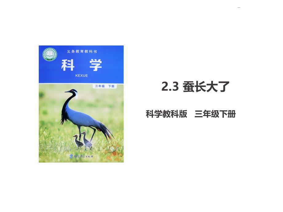 【2020教科版三年级下册科学】二单元2.3-蚕长大了(ppt课件 )_第1页