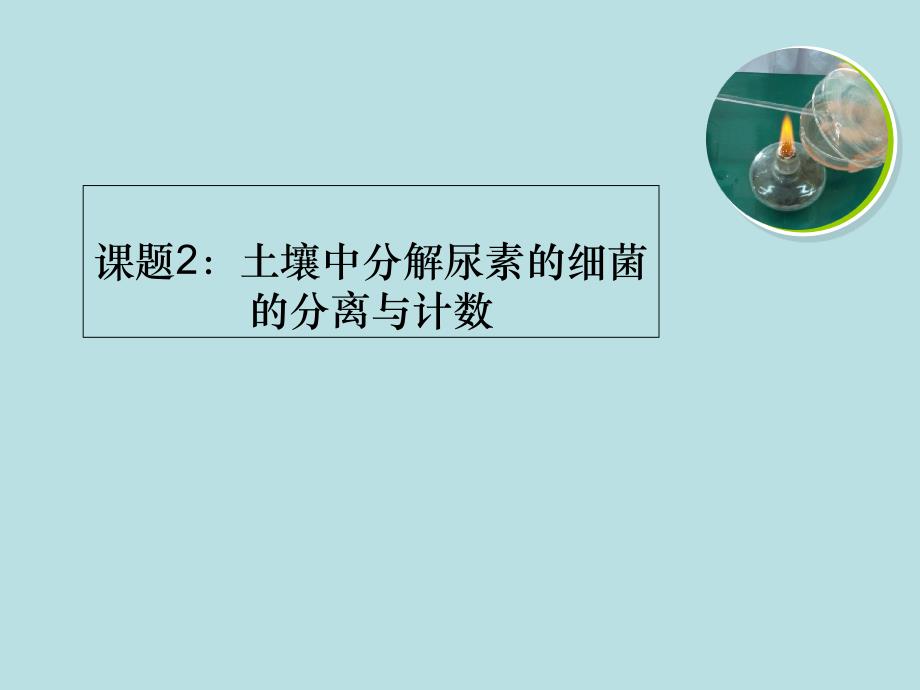 人教版高中生物选修1专题二-土壤中分解尿素的细菌的分离与计数课件_第1页