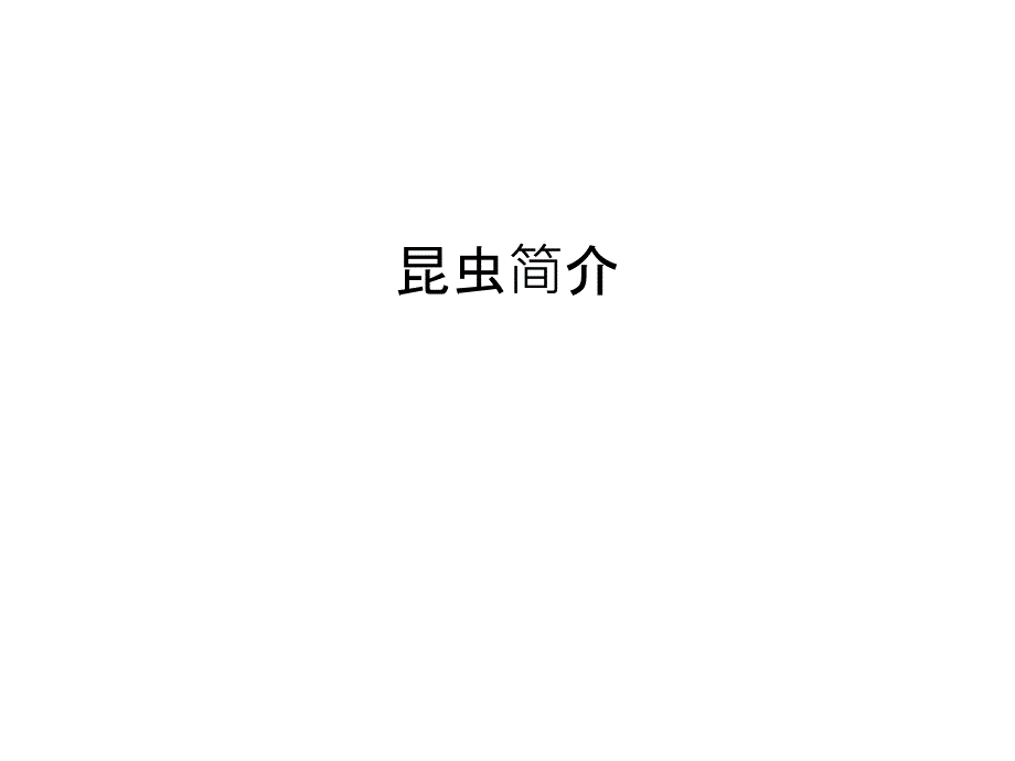 昆虫简介教学内容课件_第1页