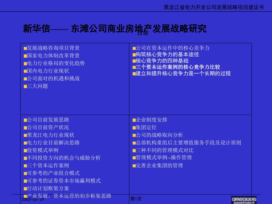 新华信黑龙江XX公司战略规划_第1页