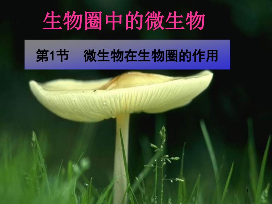 微生物在生物圈中的作用课件_第1页