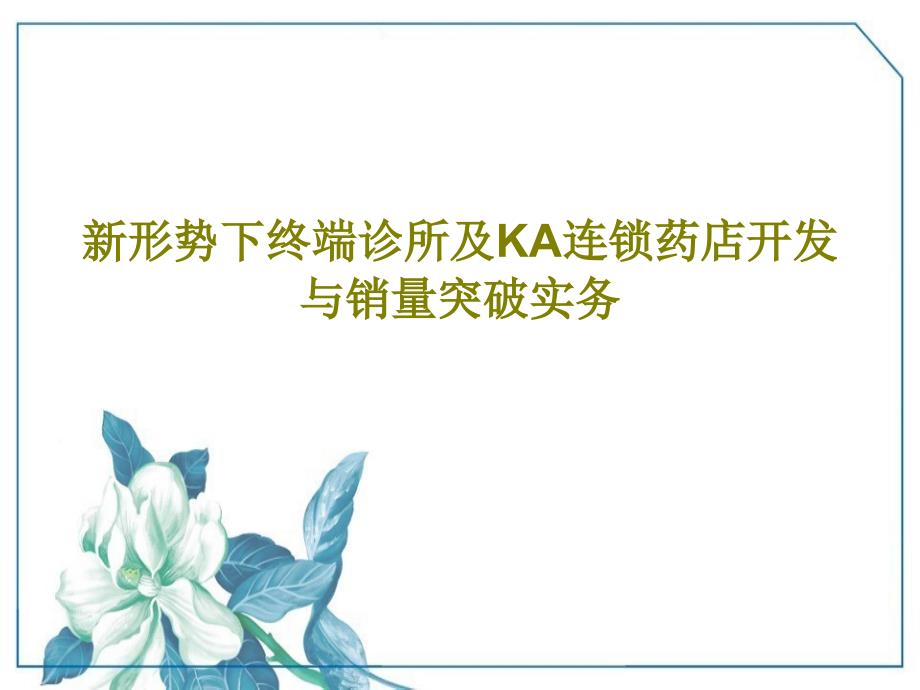 新形勢下終端診所及KA連鎖藥店開發(fā)與銷量突破實(shí)務(wù)_第1頁