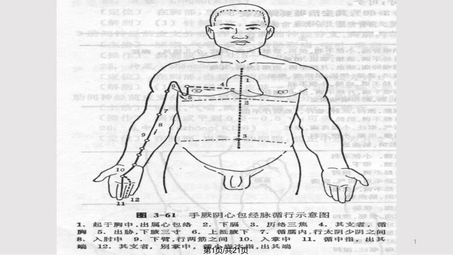 手厥阴心包经课件_第1页