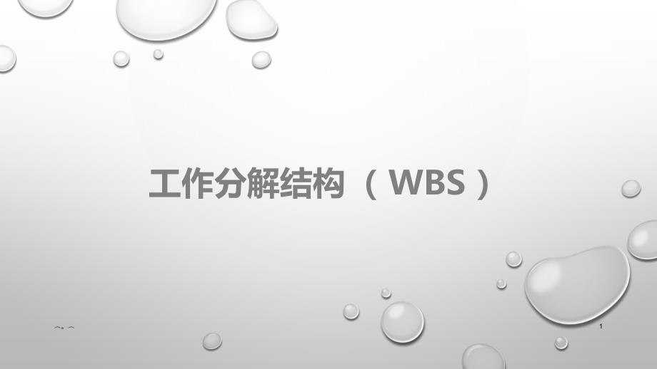 工作分解结构(WBS)(汇总)课件_第1页