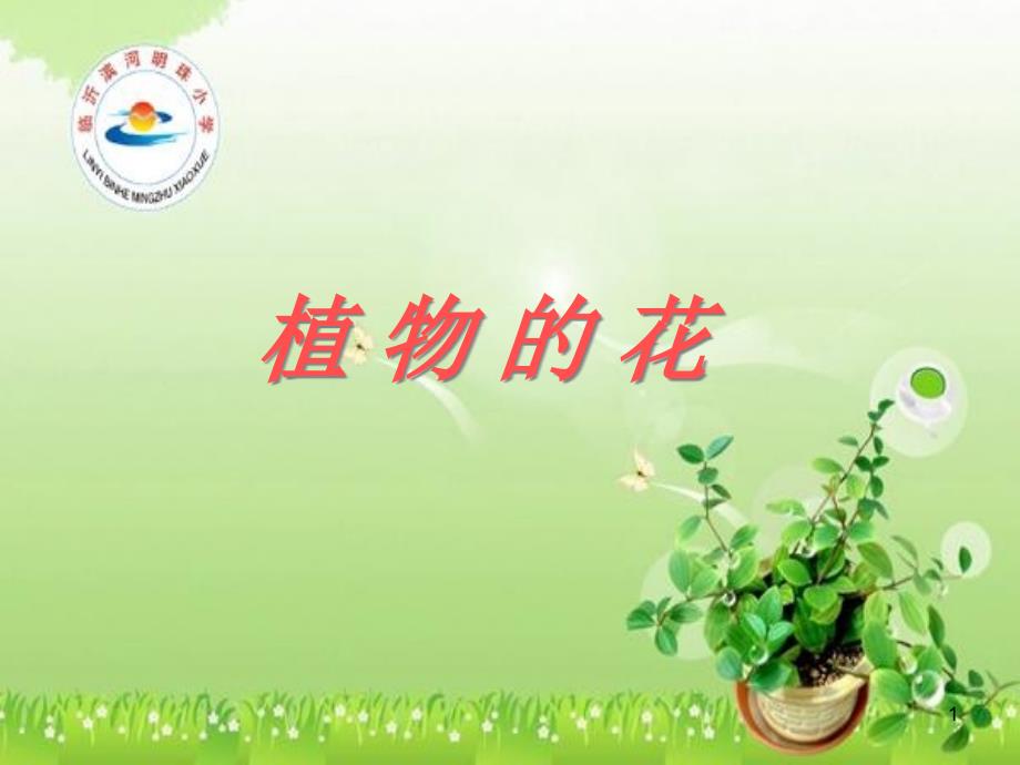 小学科学《植物的花》课件_第1页