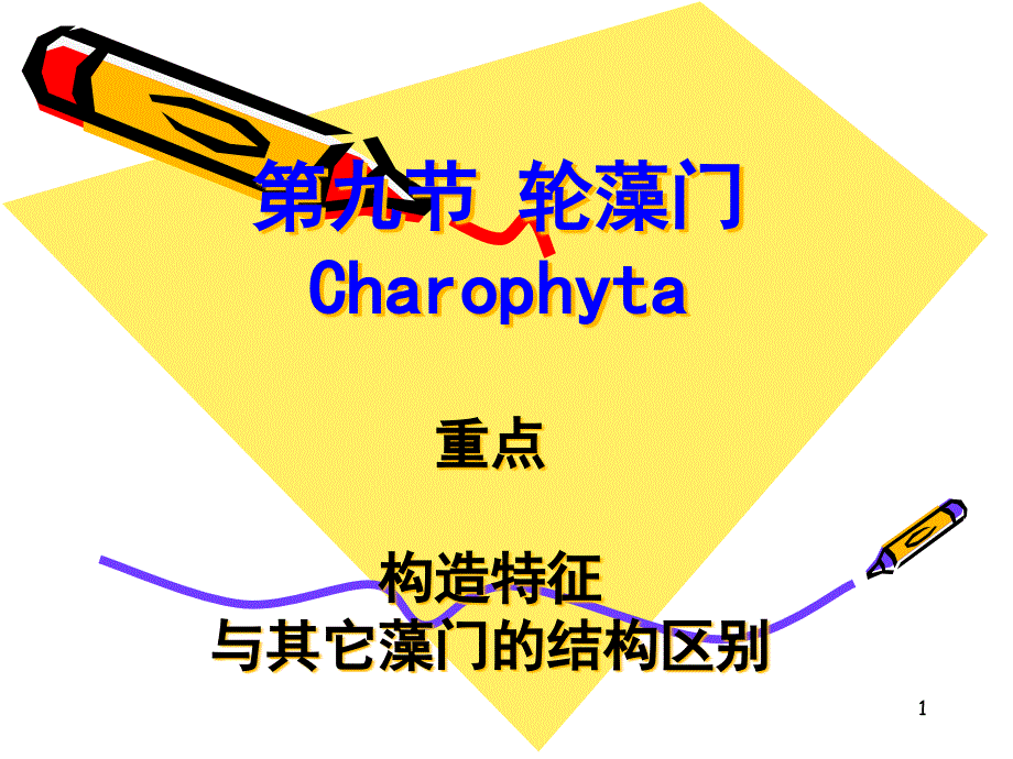 水生生物学ppt课件第九节-轮藻门_第1页