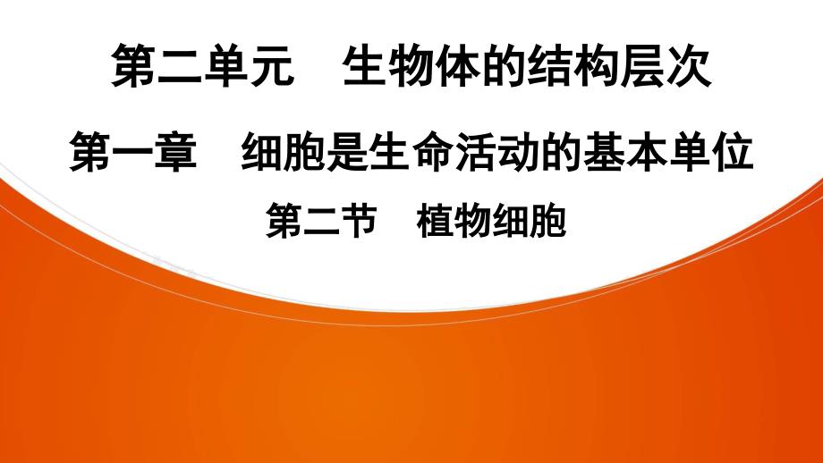 生物七年級上冊人教版第2單元-第1章-第2節(jié)-植物細胞課件_第1頁