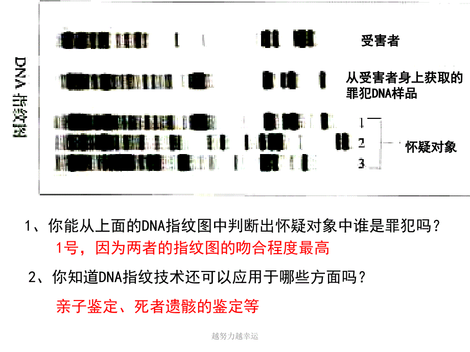 遗传信息的携带者核酸课件_第1页