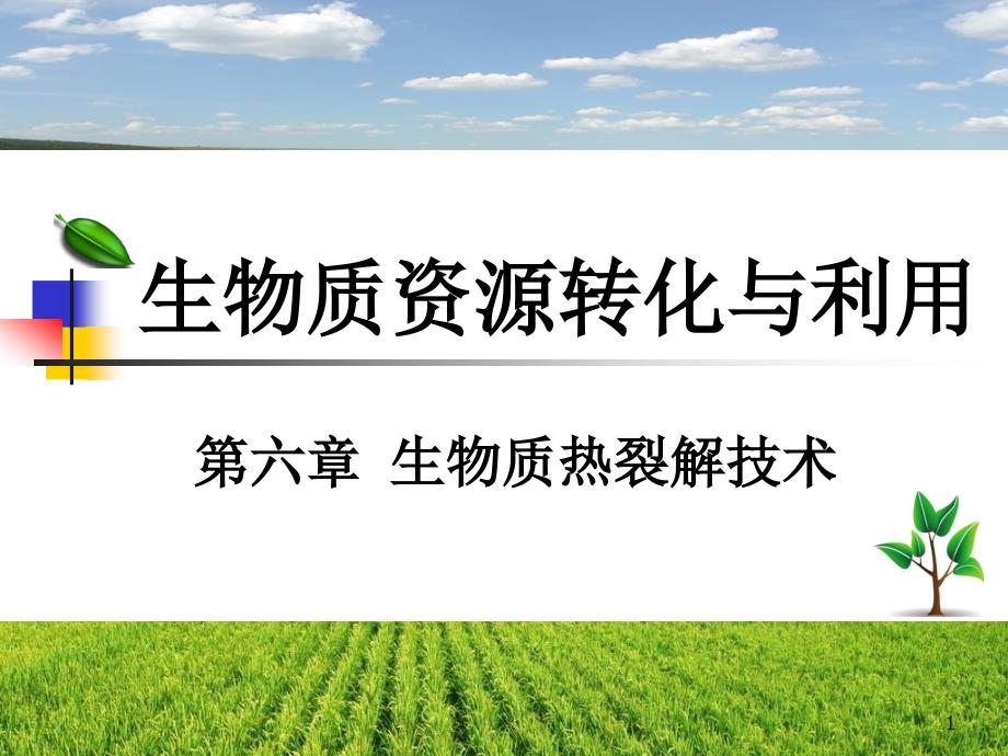 生物质资源转化与利用生物质热裂解技术答案课件_第1页