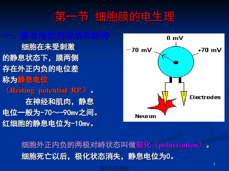 神经元兴奋和传导课件_第1页