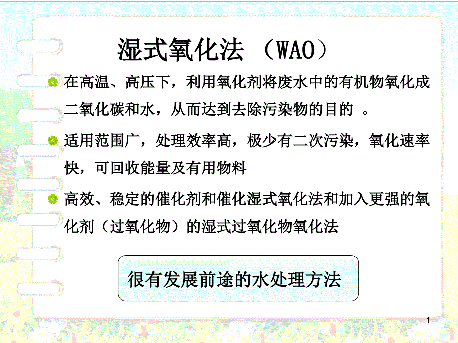 湿式氧化法处理活性污泥的原理及应用进展课件_第1页