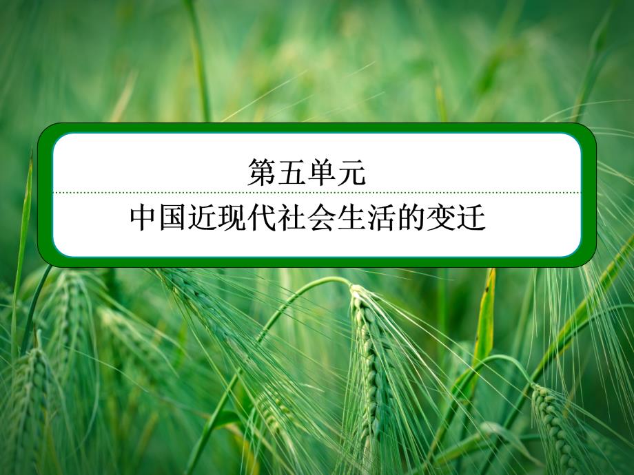 物质生活与习俗的变迁ppt新人教版必修课件_第1页