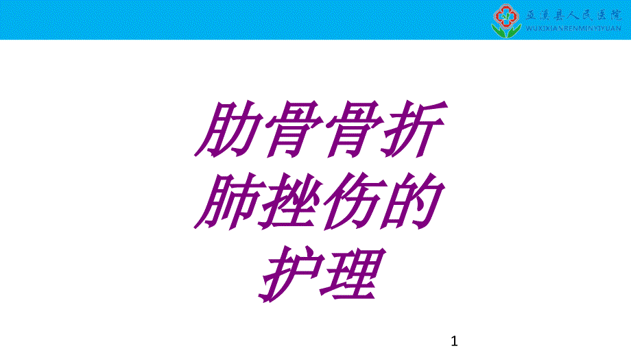 肋骨骨折肺挫伤的护理培训ppt课件_第1页