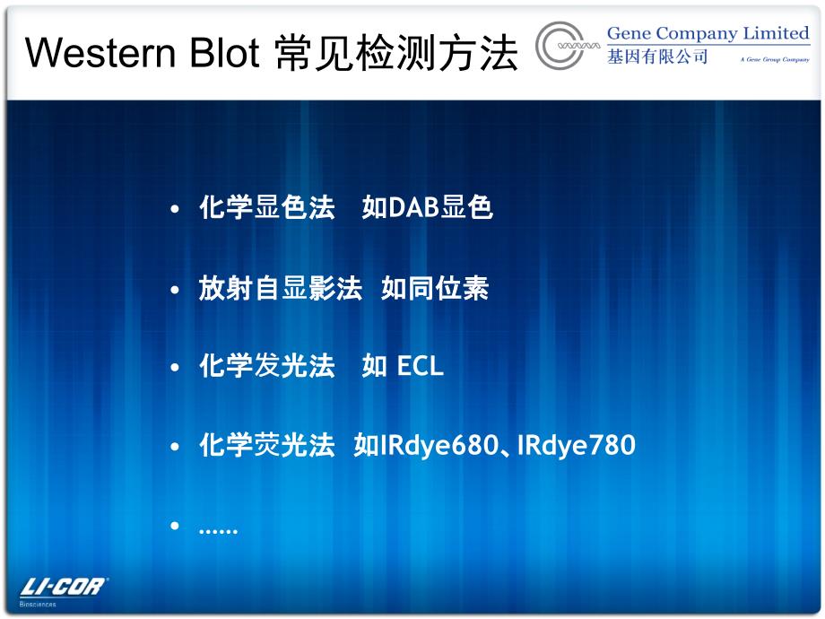 生物学做Westernblot仪器课件_第1页