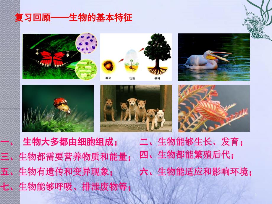 苏科版生物七年级上册121生物的生存环境ppt课件_第1页