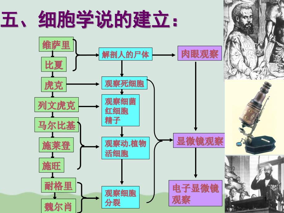 细胞的基本结构课件全解17-人教课标版_第1页