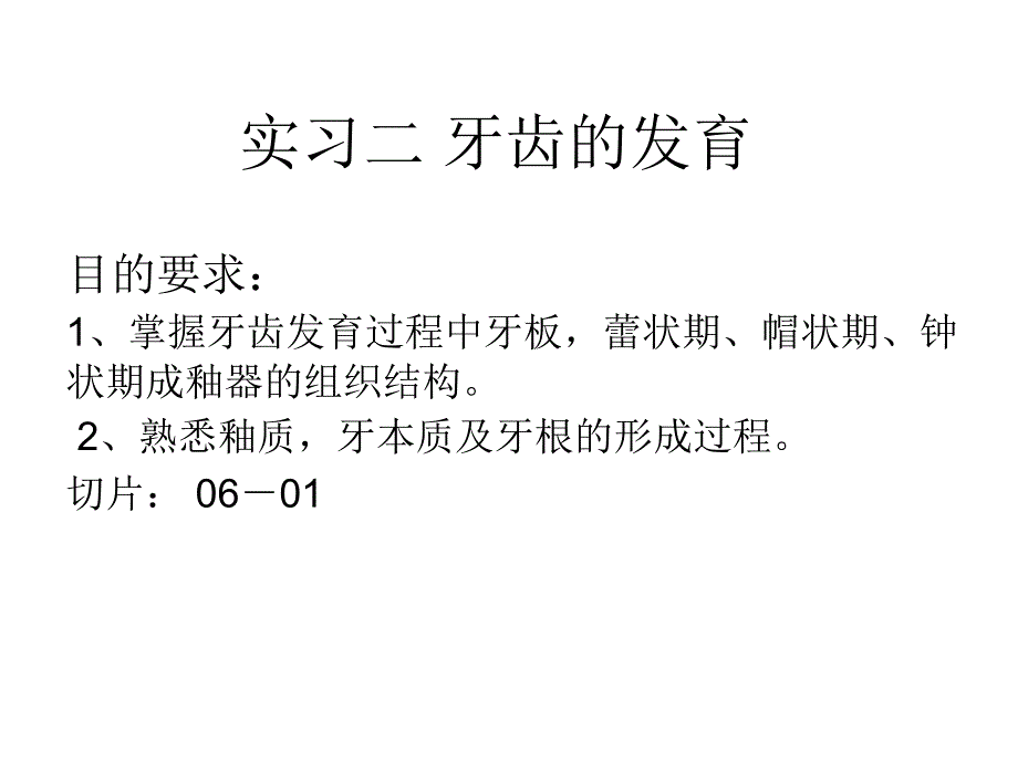 牙齿发育课件_第1页