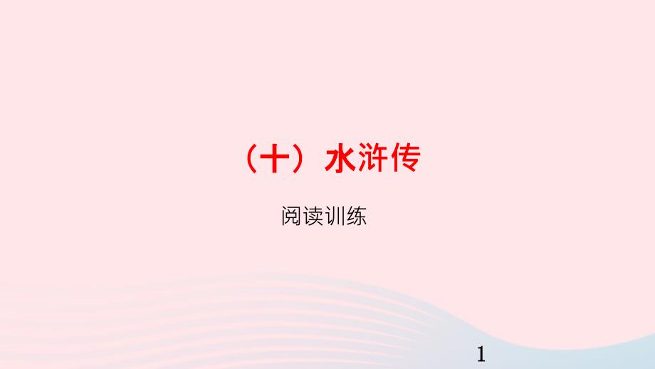 浙江省嘉兴市秀洲区中考语文总复习(十)水浒传ppt课件_第1页