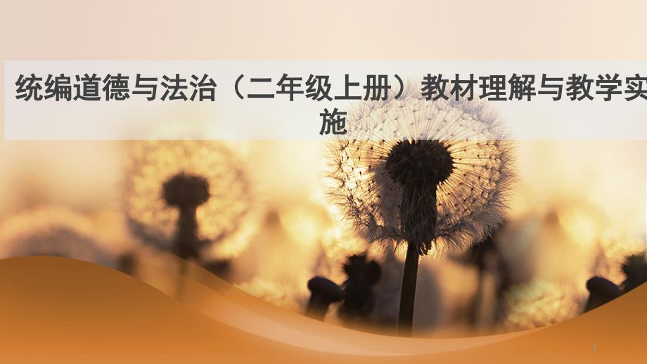 部编人教版小学道德与法治二年级上册教材理解与教学实施课件_第1页