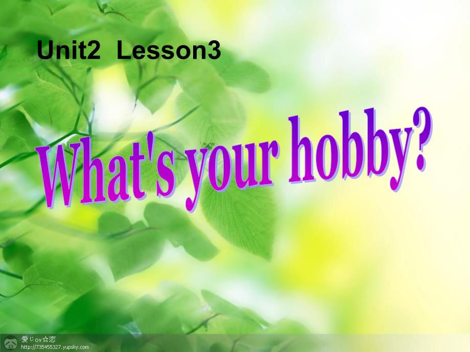 四年级英语上册Unit2Lesson3What’syourhobbyppt课件鲁科版_第1页