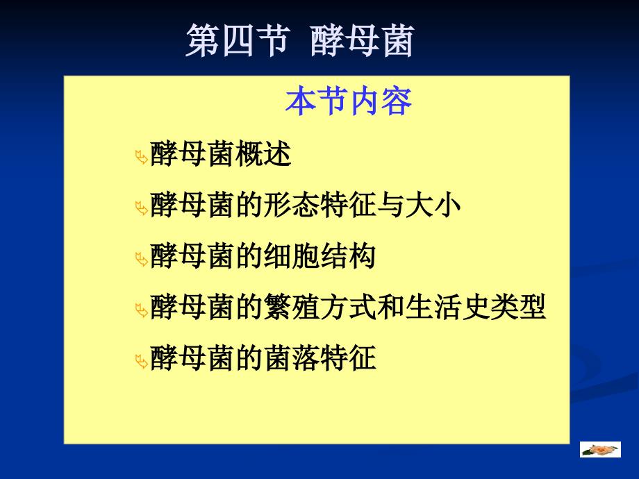 酵母演示文稿1_第1页