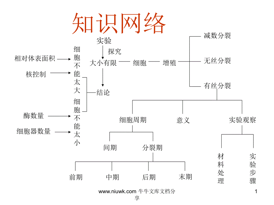 细胞的增殖专题复习课件_第1页