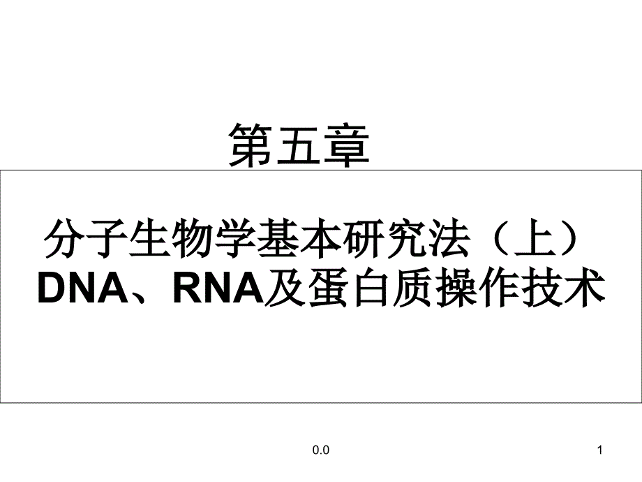 范本分子生物学研究法课件_第1页