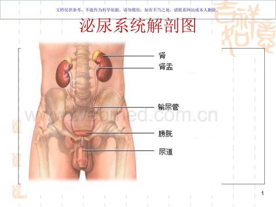 肾上腺肿瘤的护理查房ppt课件_第1页