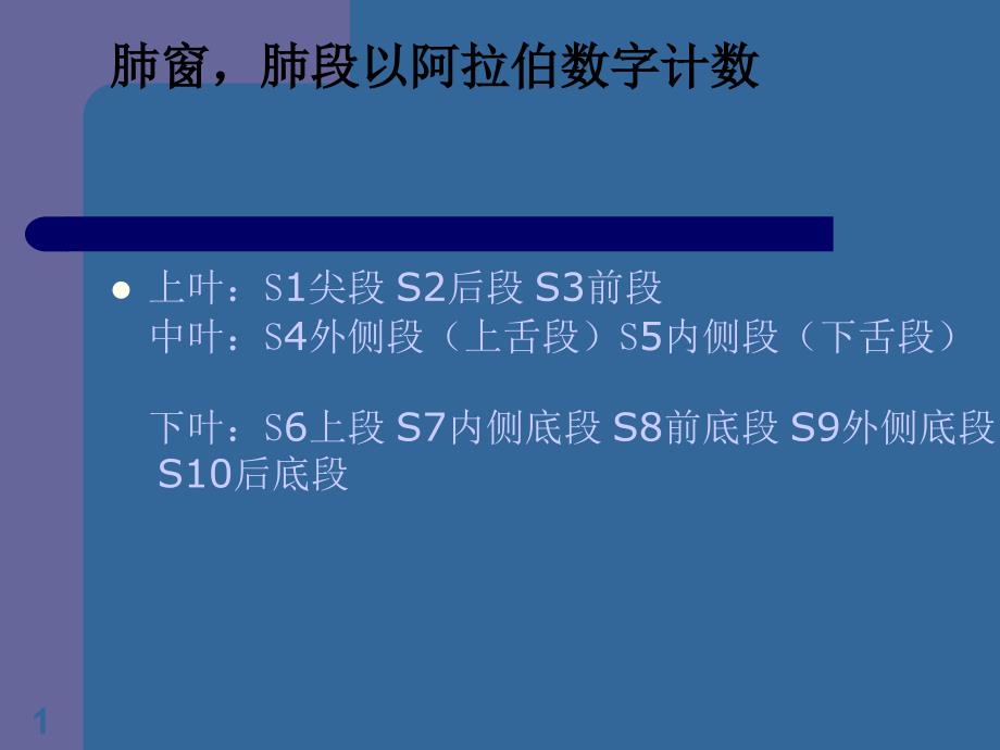 CT肺分段经典解剖课件_第1页