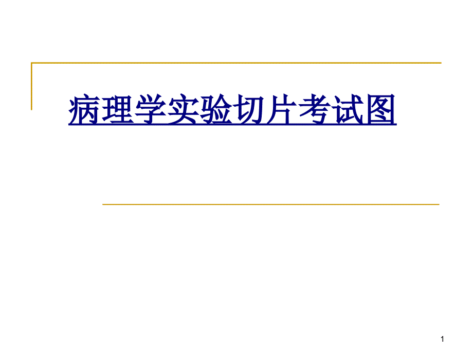 病理学实验切片考试图讲义课件_第1页