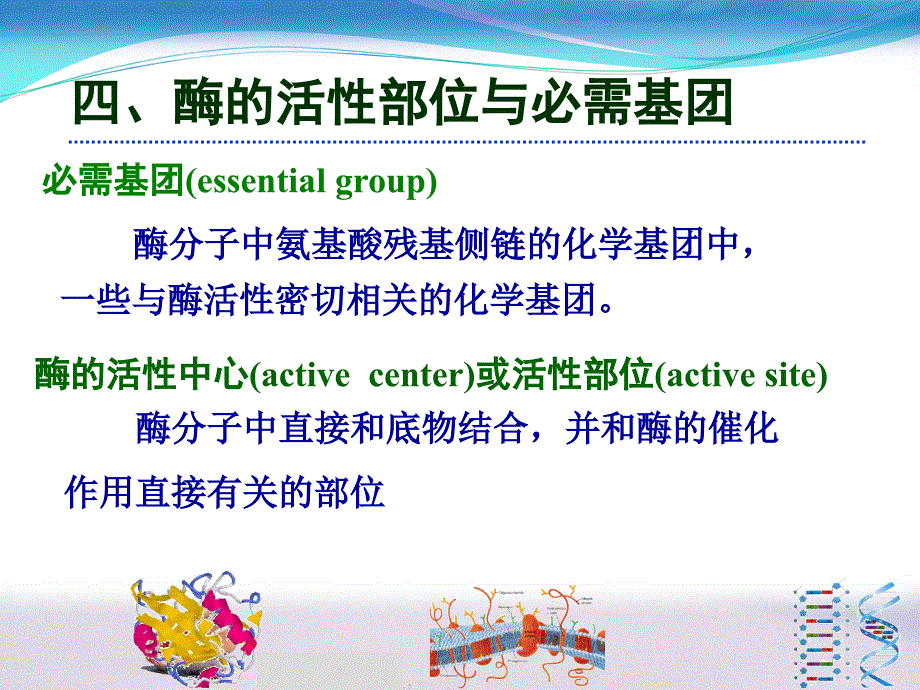 酶的结构纯化及活性十一_第1页