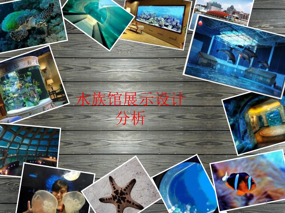 水族馆展示设计分析案例--蓝色星球课件_第1页