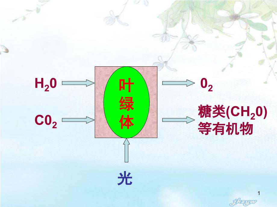 《光合作用的原理和应用》_第1页