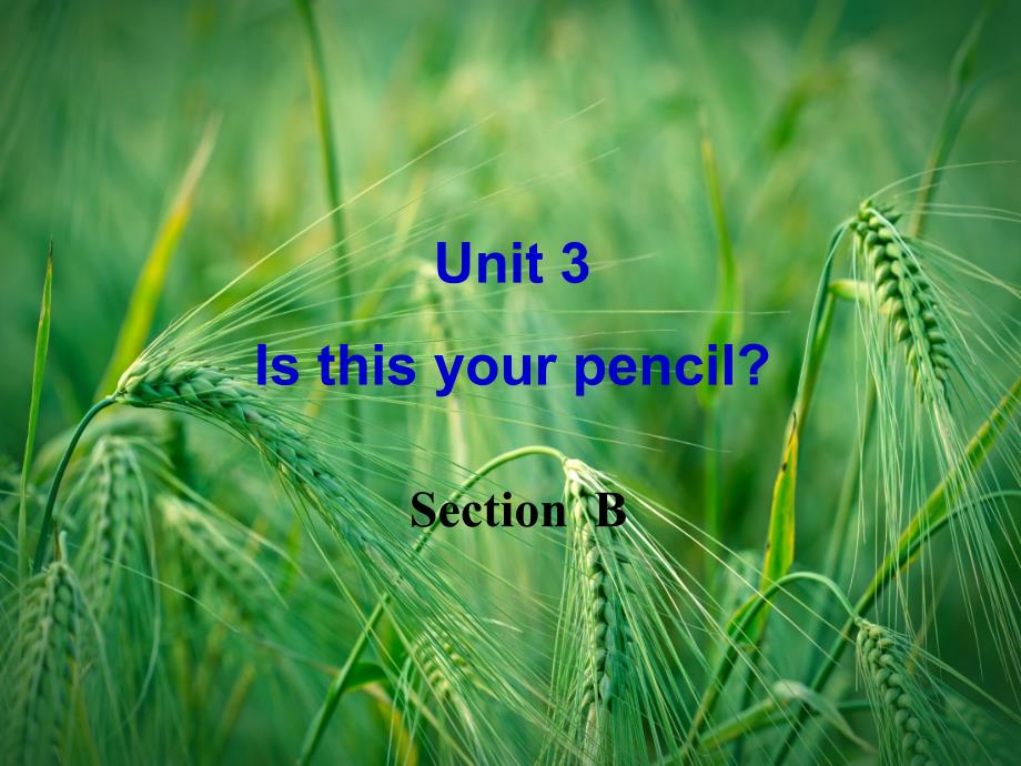 Unit-3-Is-this-your-pencil-Section-B1-(新版)人教新目标版ppt课件_第1页