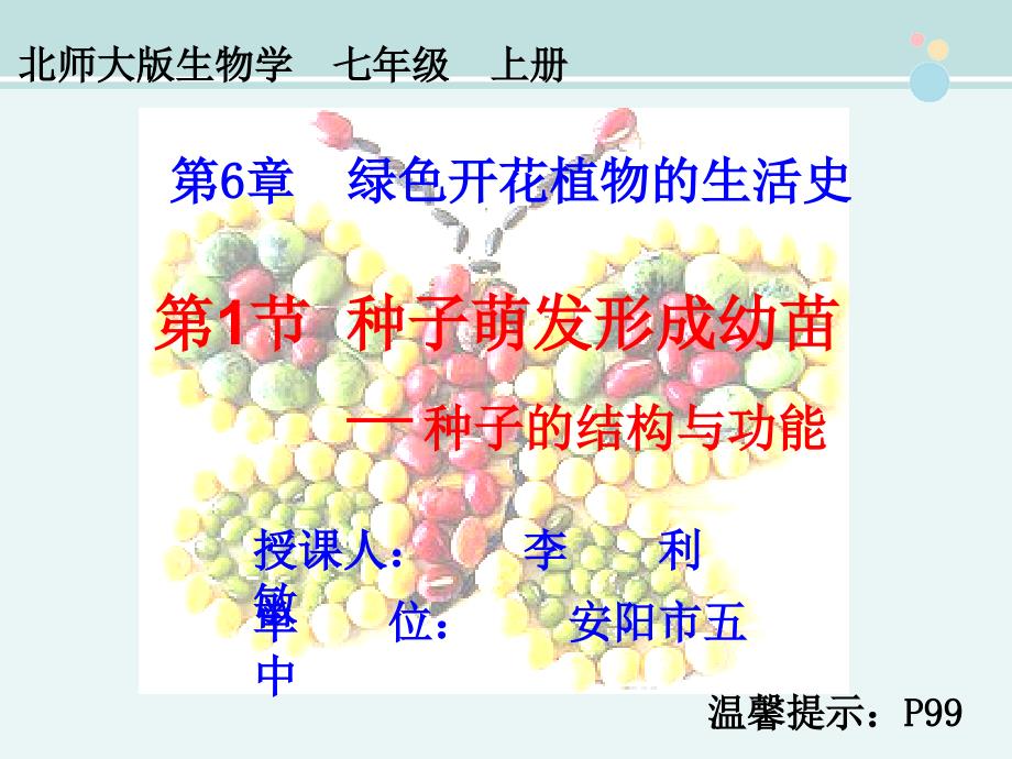 种子的结构与功能--公开课课件_第1页