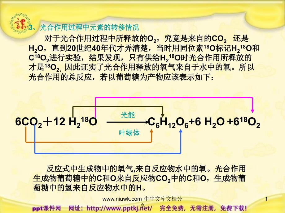 光合作用的基本过程课件_第1页