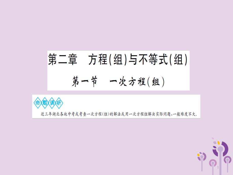 湖北省中考数学复习第二章方程与不等式第一节一次方程(组)ppt课件_第1页